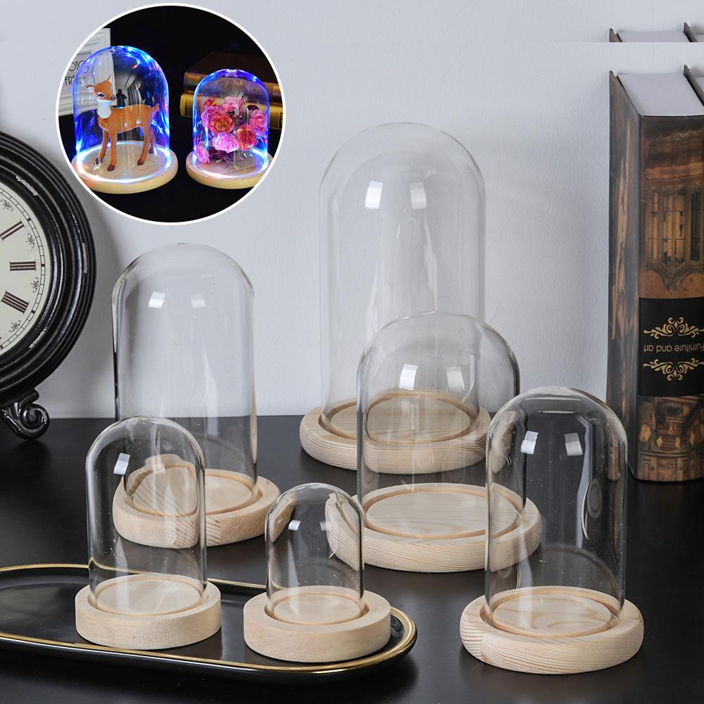 กระถางต้นไม้ตกแต่งบ้าน แจกันแก - Home Decor Glass บทวิจารณ์และราคา