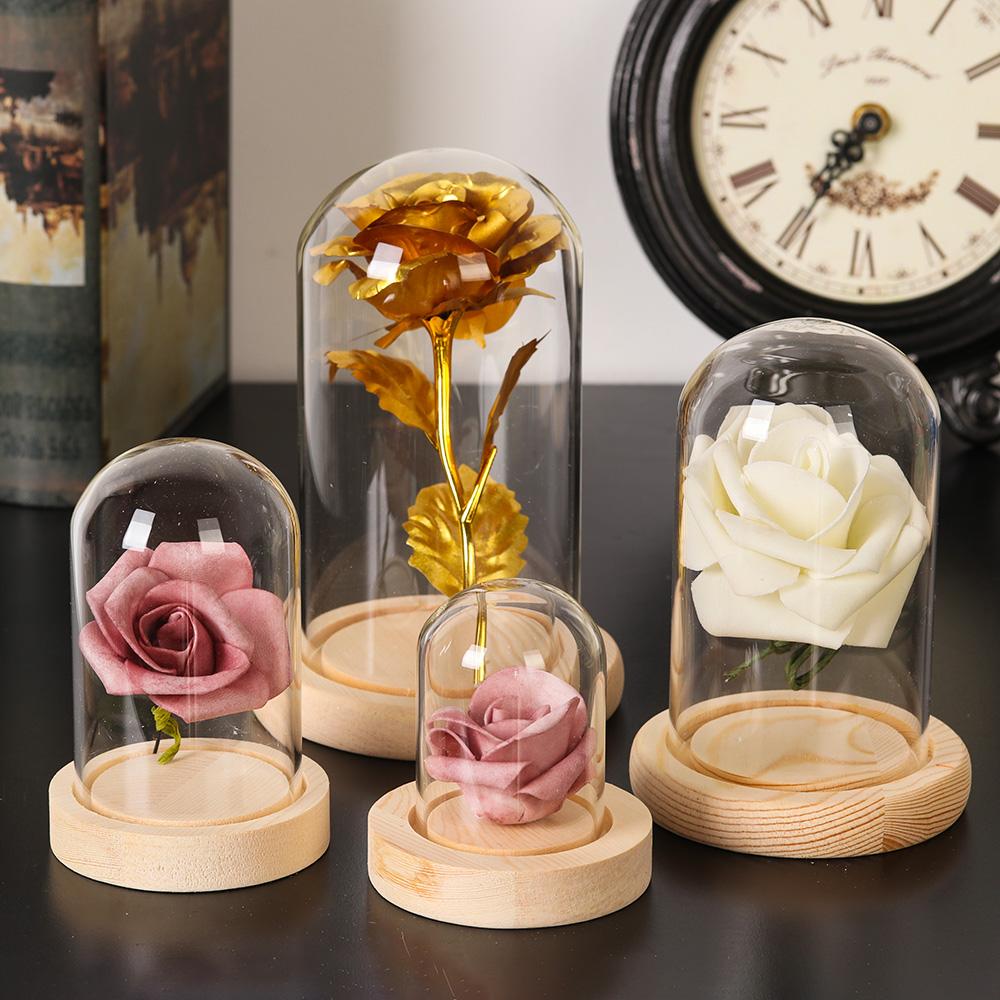 กระถางต้นไม้ตกแต่งบ้าน แจกันแก - Home Decor Glass บทวิจารณ์และราคา