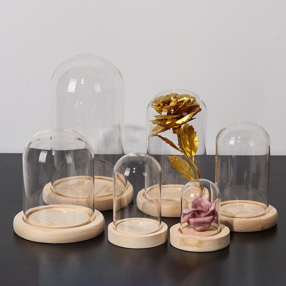 กระถางต้นไม้ตกแต่งบ้าน แจกันแก - Home Decor Glass บทวิจารณ์และราคา