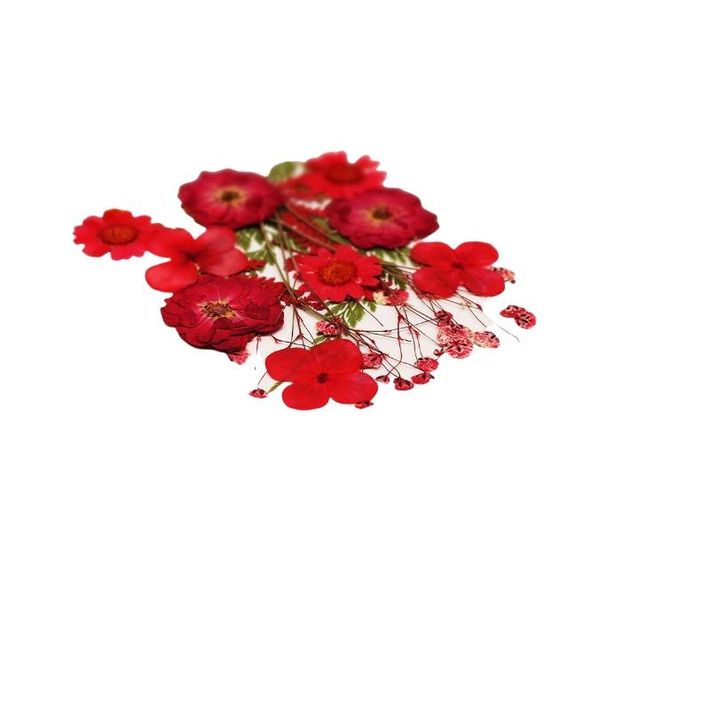 ดอกไม้แห้งธรรมชาติแท้สำหรับงาน - Home Decor Handicraft บทวิจารณ์และราคา